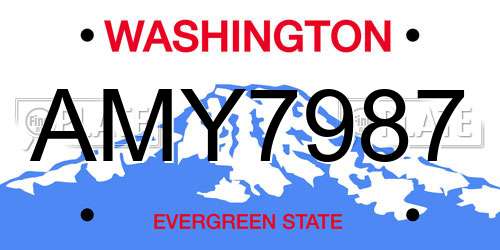 AMY7987 Washington License Plate
