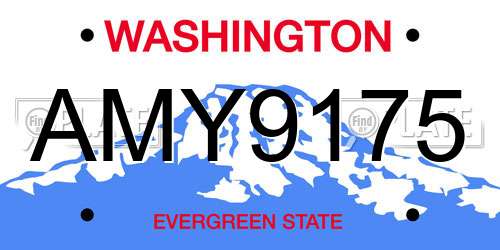 AMY9175 Washington License Plate