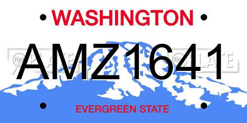 AMZ1641 Washington License Plate