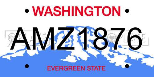 AMZ1876 Washington License Plate