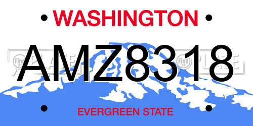 AMZ8318 Washington License Plate