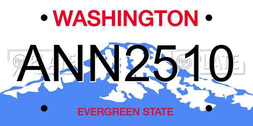 ANN2510 Washington License Plate