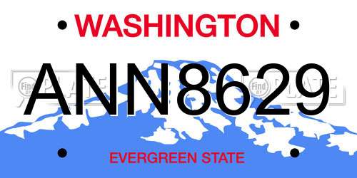 ANN8629 Washington License Plate