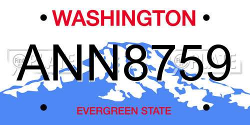 ANN8759 Washington License Plate