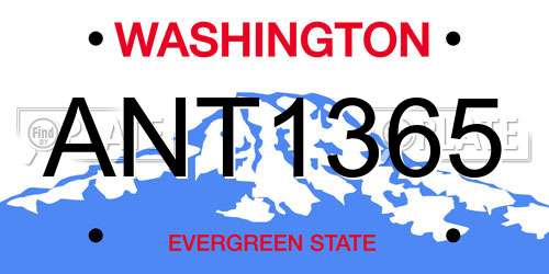 ANT1365 Washington License Plate