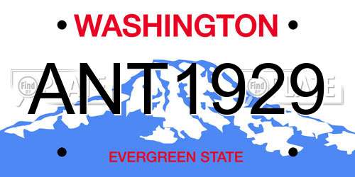 ANT1929 Washington License Plate