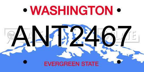 ANT2467 Washington License Plate