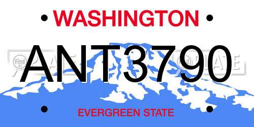 ANT3790 Washington License Plate