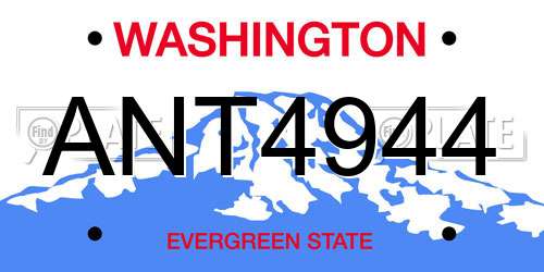 ANT4944 Washington License Plate