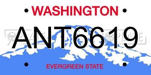 ANT6619 Washington License Plate