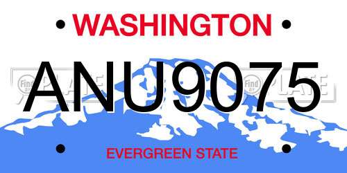 ANU9075 Washington License Plate