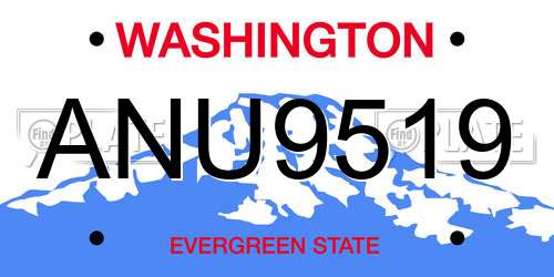 ANU9519 Washington License Plate