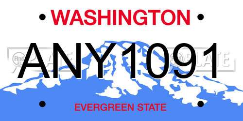 ANY1091 Washington License Plate