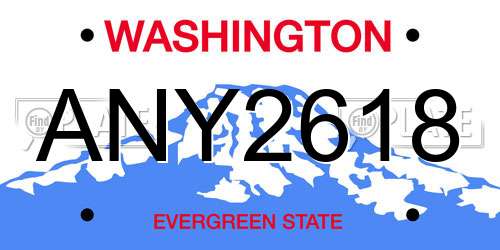 ANY2618 Washington License Plate
