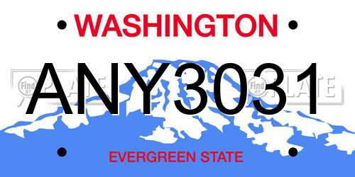 ANY3031 Washington License Plate