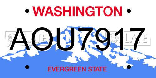 AOU7917 Washington License Plate