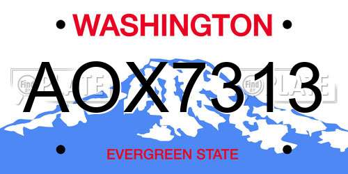 AOX7313 Washington License Plate