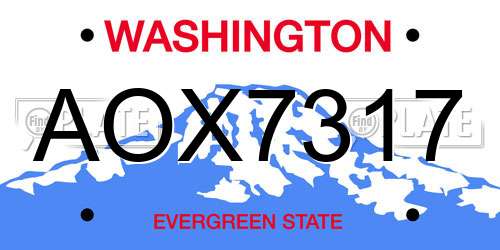 AOX7317 Washington License Plate