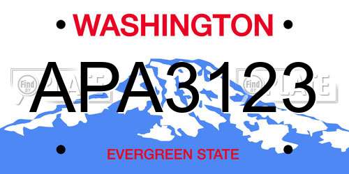 APA3123 Washington License Plate