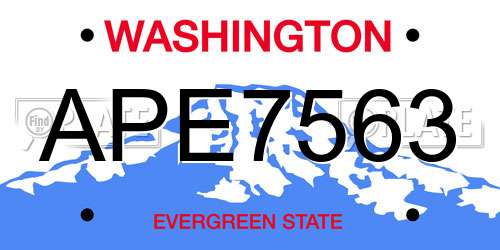 APE7563 Washington License Plate