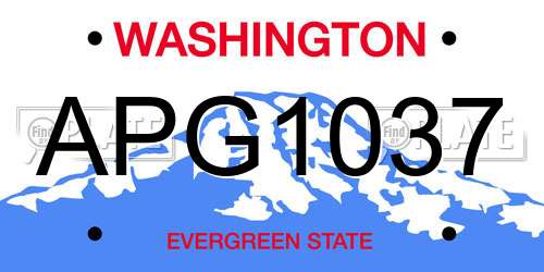 APG1037 Washington License Plate