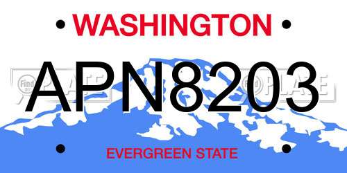 APN8203 Washington License Plate