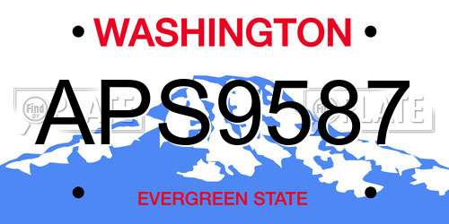 APS9587 Washington License Plate