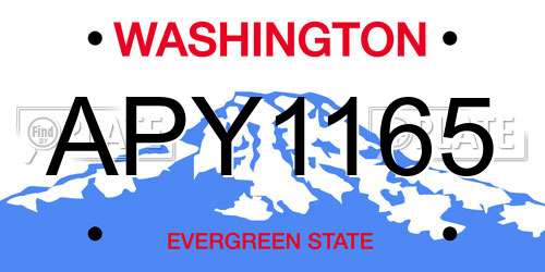 APY1165 Washington License Plate