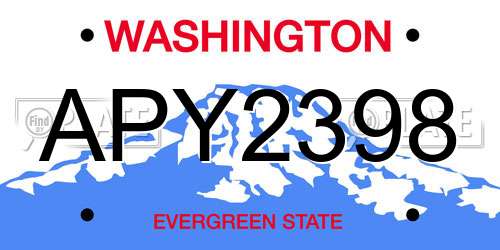 APY2398 Washington License Plate