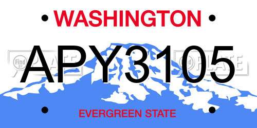 APY3105 Washington License Plate