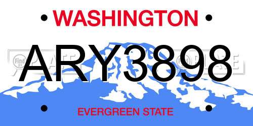 ARY3898 Washington License Plate