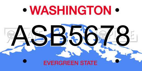ASB5678 Washington License Plate