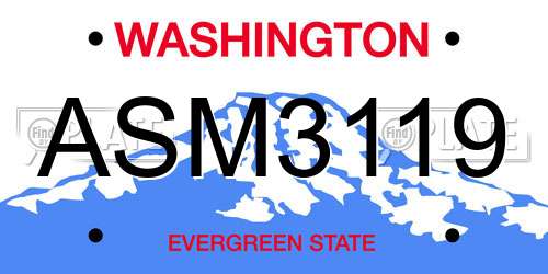 ASM3119 Washington License Plate