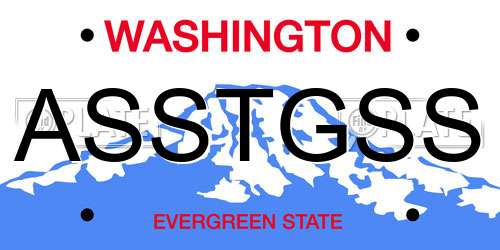 ASSTGSS Washington License Plate
