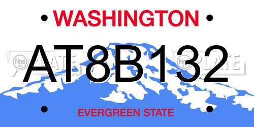 AT8B132 Washington License Plate