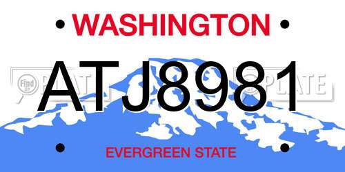 ATJ8981 Washington License Plate