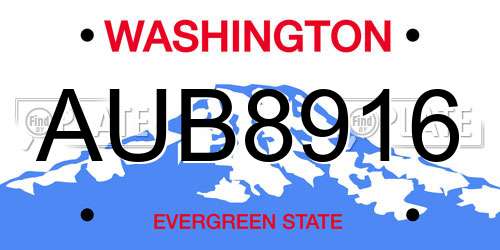 AUB8916 Washington License Plate
