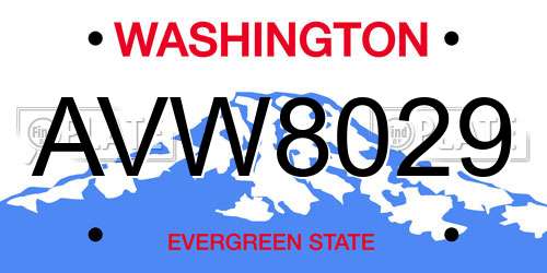 AVW8029 Washington License Plate