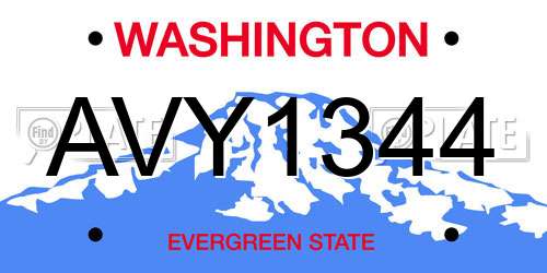 AVY1344 Washington License Plate