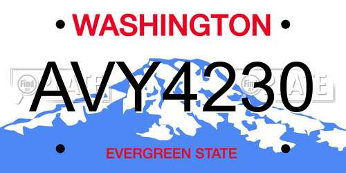 AVY4230 Washington License Plate