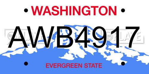 AWB4917 Washington License Plate