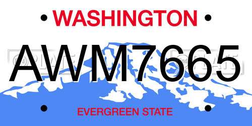 AWM7665 Washington License Plate