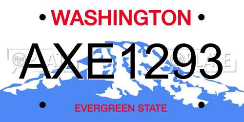 AXE1293 Washington License Plate