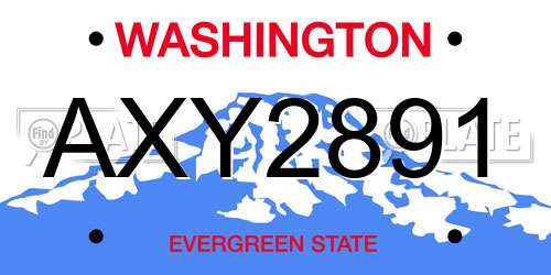 AXY2891 Washington License Plate