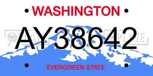 AY38642 Washington License Plate