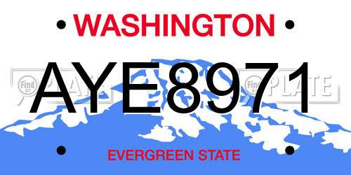 AYE8971 Washington License Plate