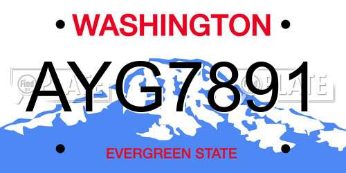 AYG7891 Washington License Plate