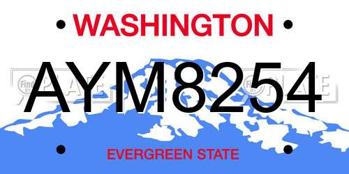 AYM8254 Washington License Plate