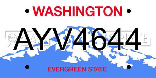 AYV4644 Washington License Plate