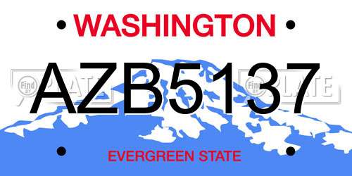 AZB5137 Washington License Plate
